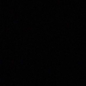 Meet your Posher, Whitney